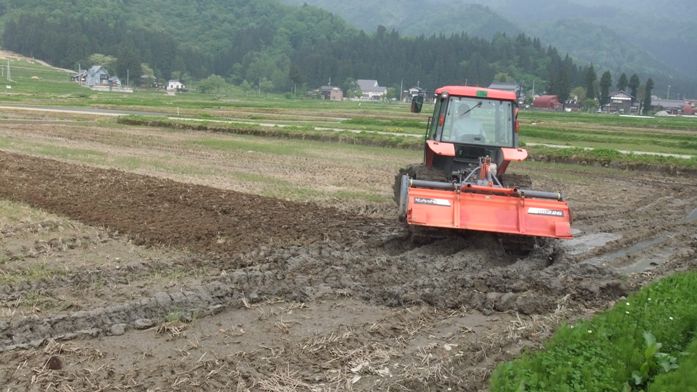 田んぼをうねる