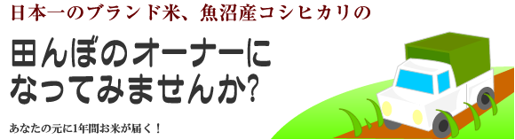 田んぼオーナー募集